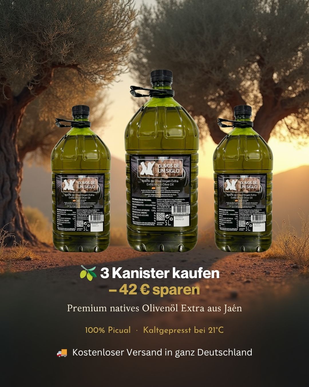 Natives Olivenöl Extra 5L aus Jaén – 100% Picual | Oro del Sur